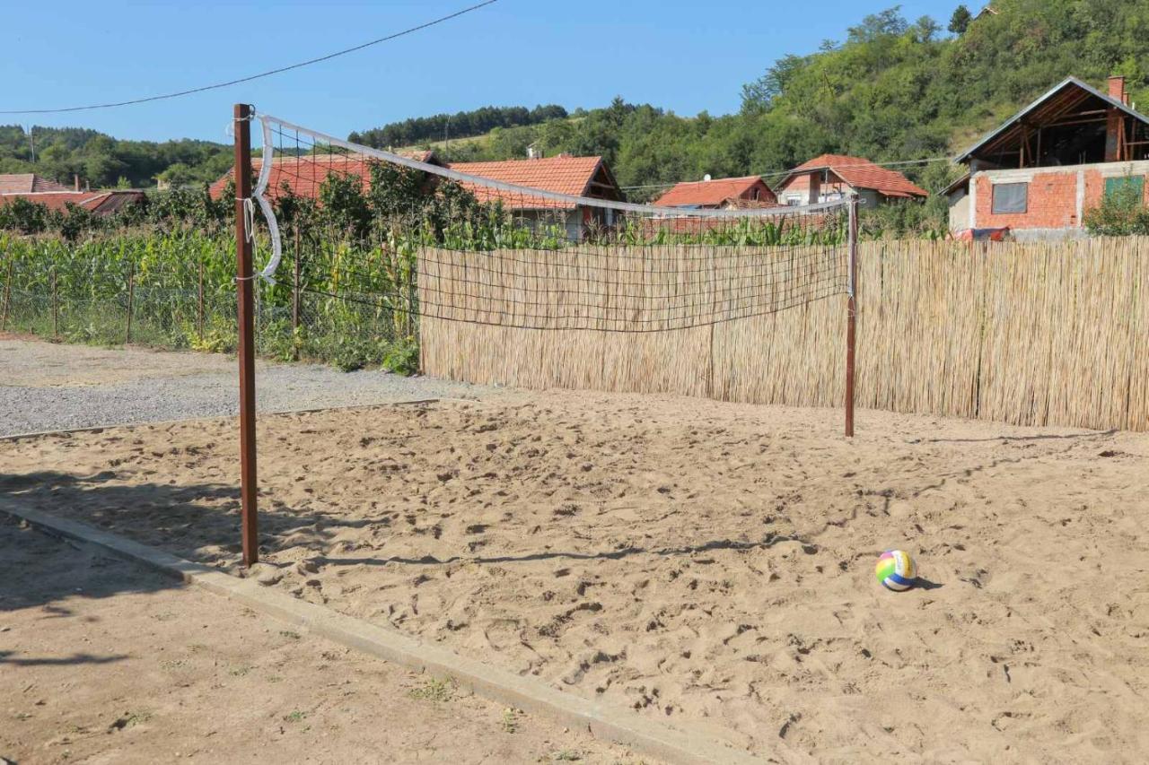 Vila Viktori Pirot Kültér fotó