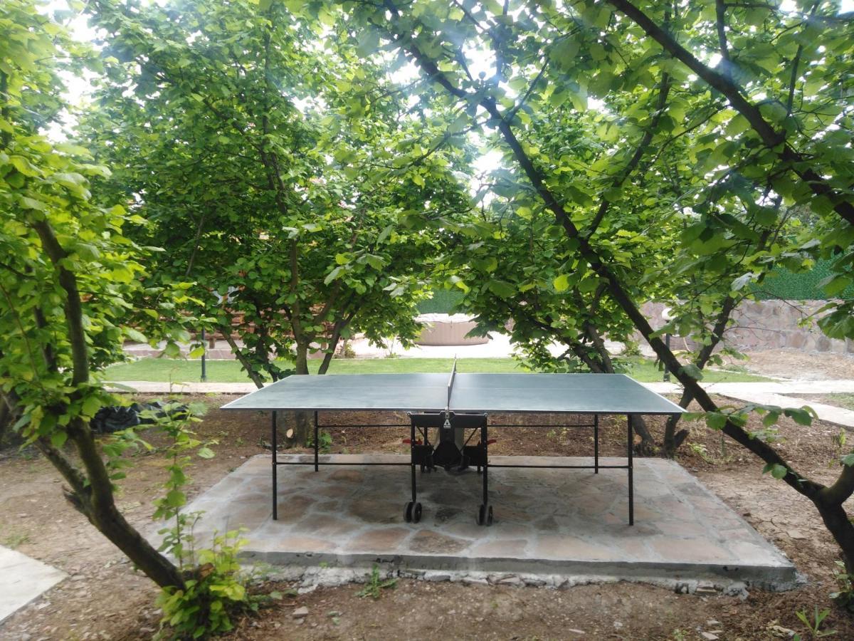 Vila Viktori Pirot Kültér fotó