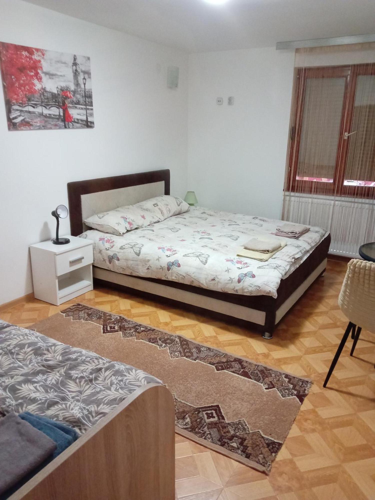 Vila Viktori Pirot Kültér fotó