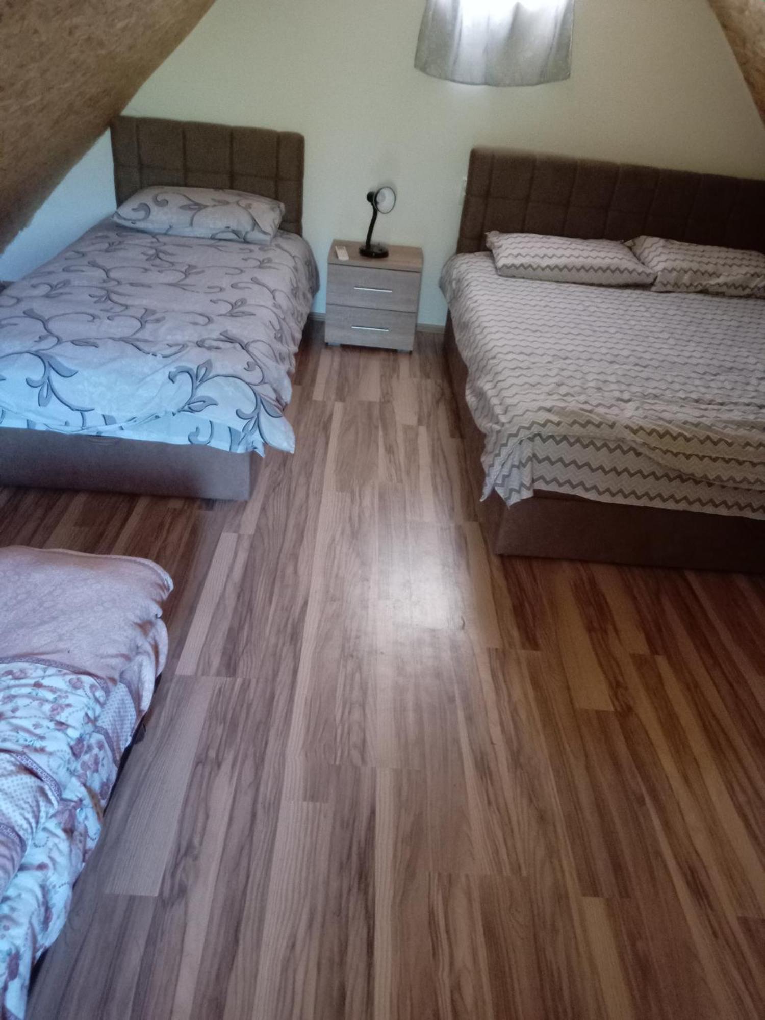 Vila Viktori Pirot Kültér fotó